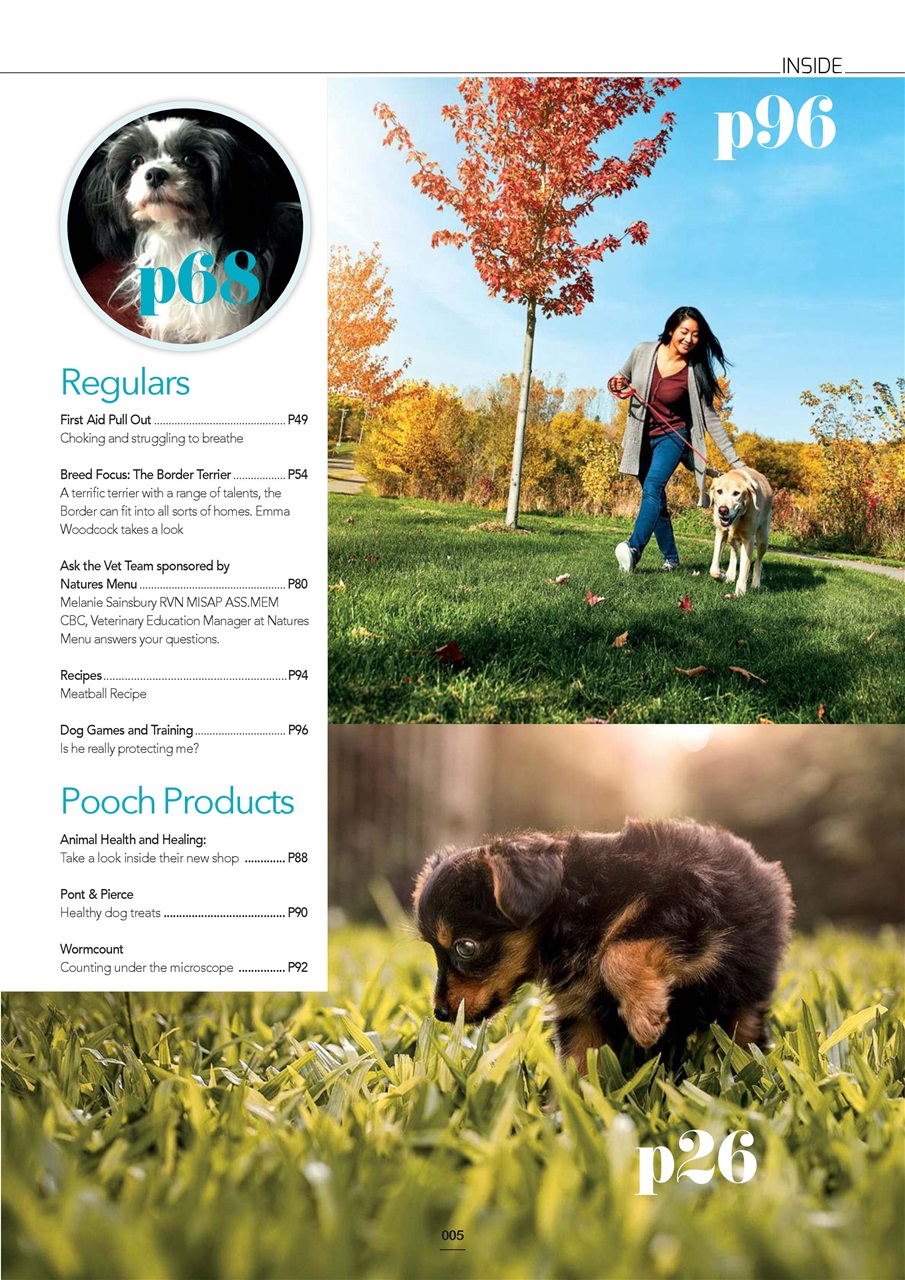 Edition Dog Preview Pages