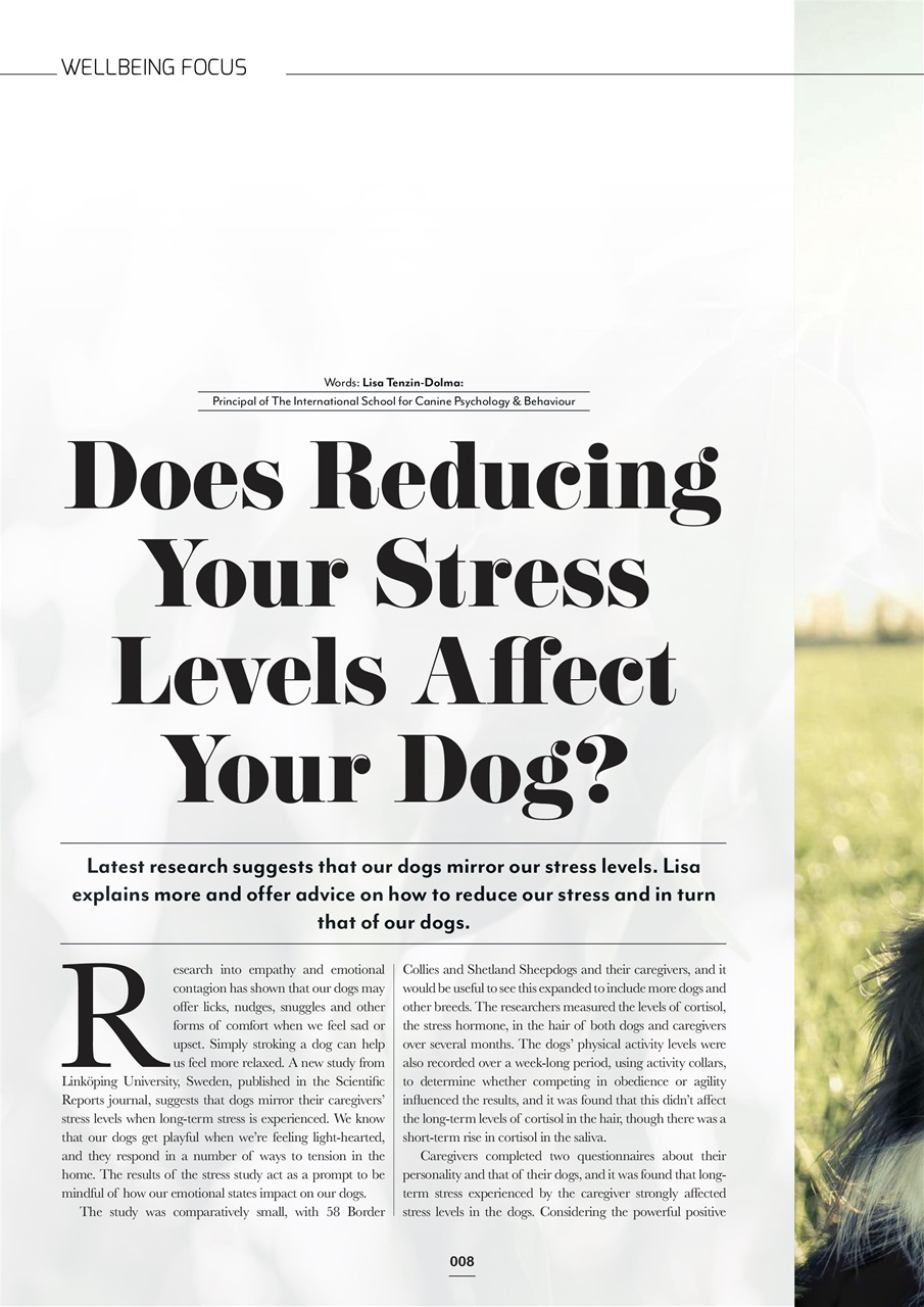 Edition Dog Preview Pages