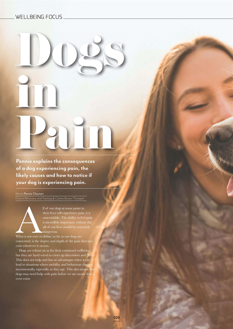 Edition Dog Preview Pages