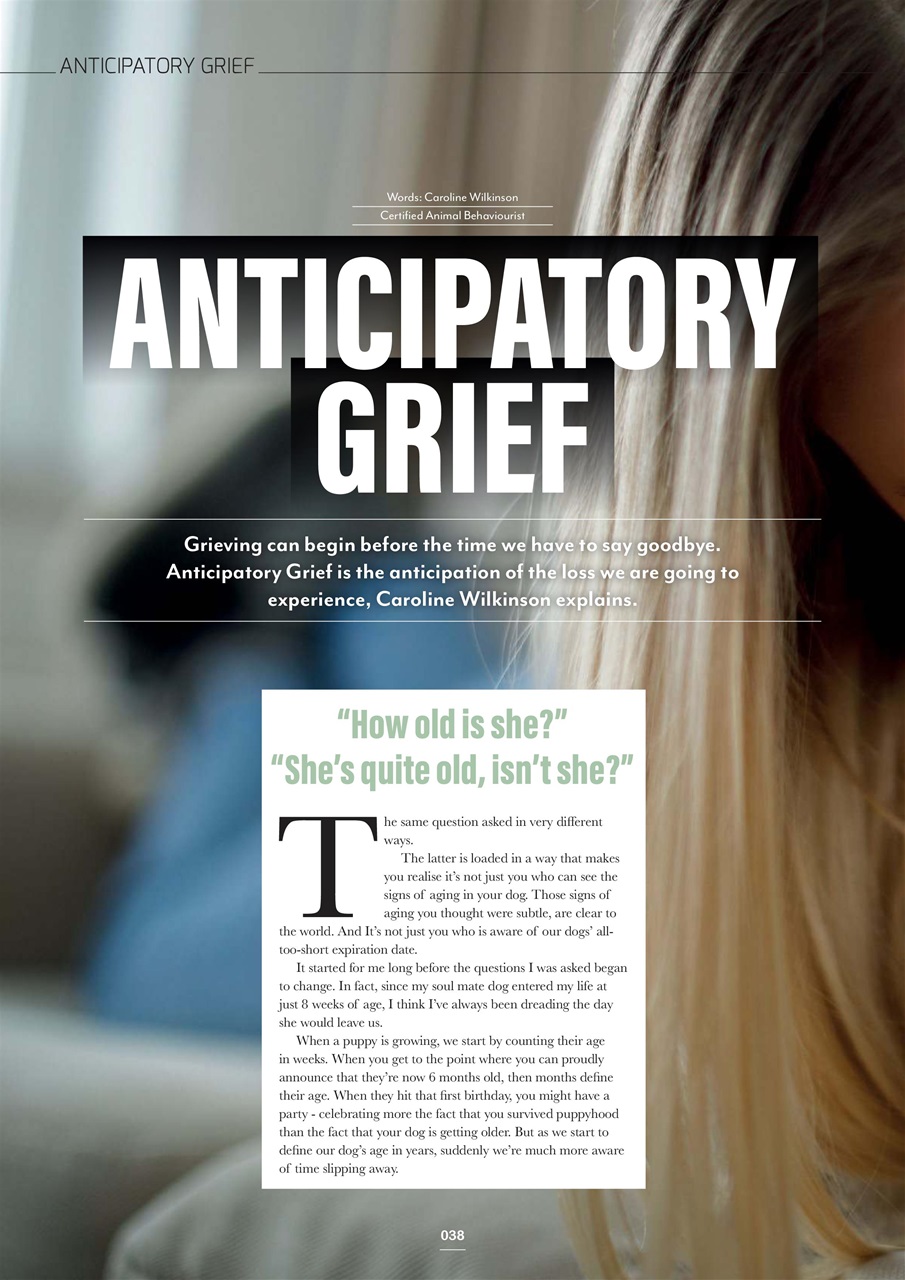 Edition Dog Preview Pages