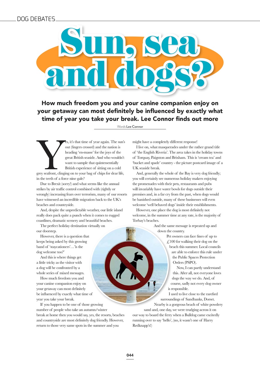 Edition Dog Preview Pages