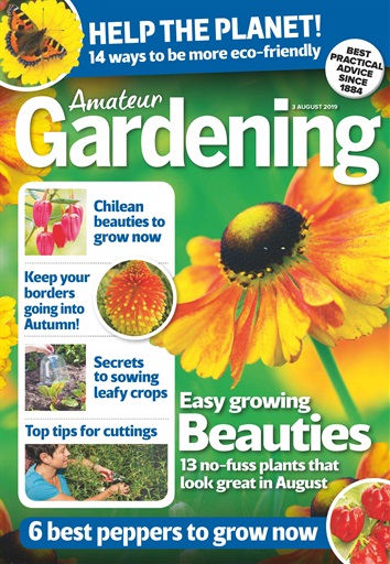 Amateur Gardening issue 