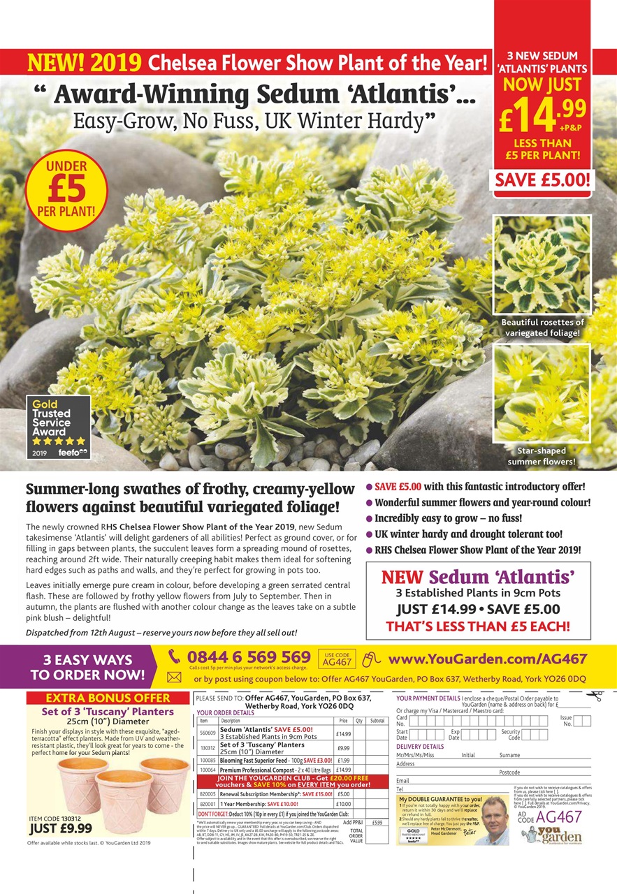 Amateur Gardening Preview Pages