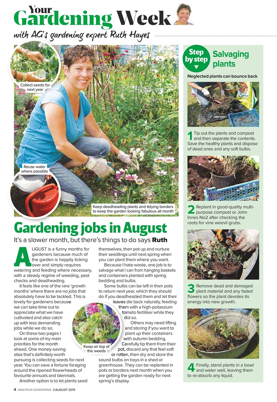 Amateur Gardening Preview Pages