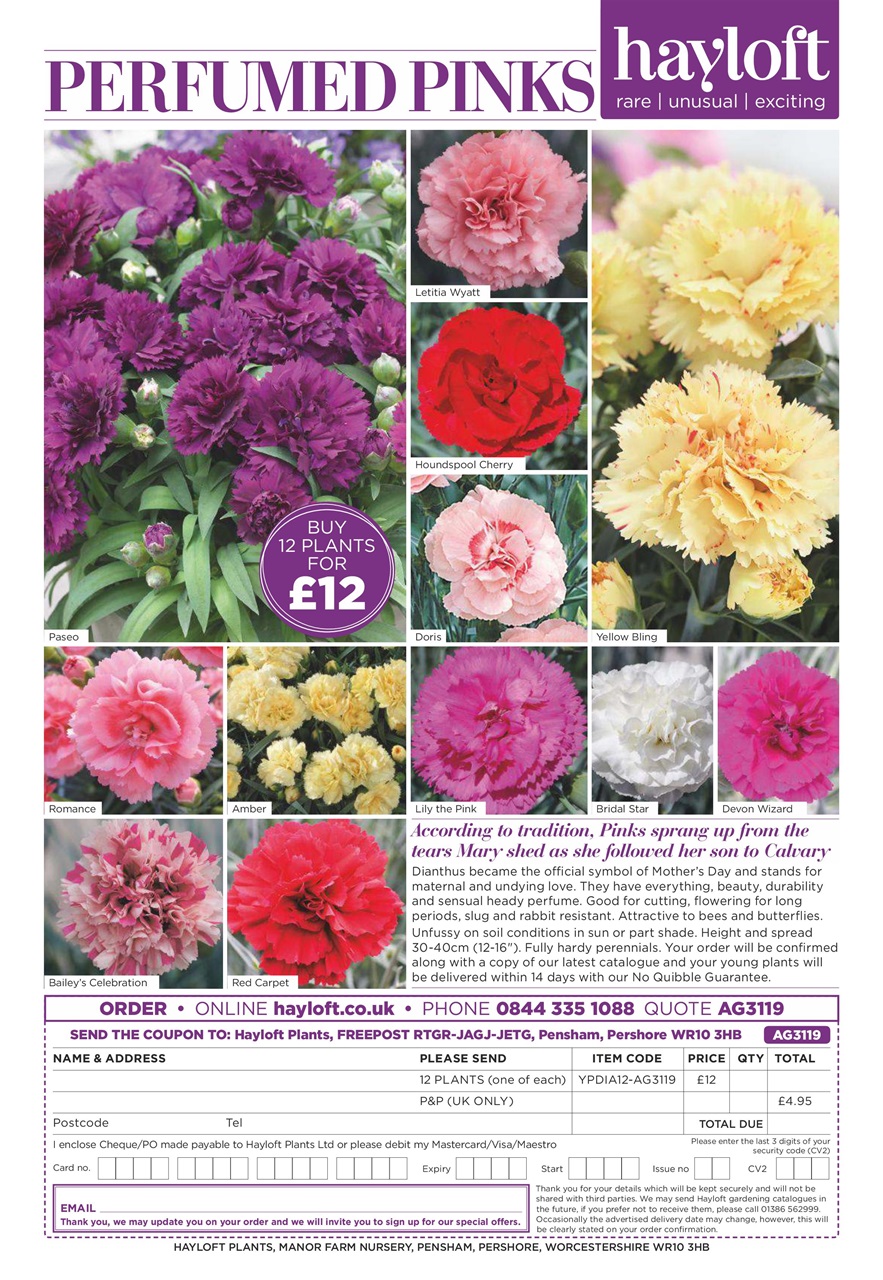 Amateur Gardening Preview Pages