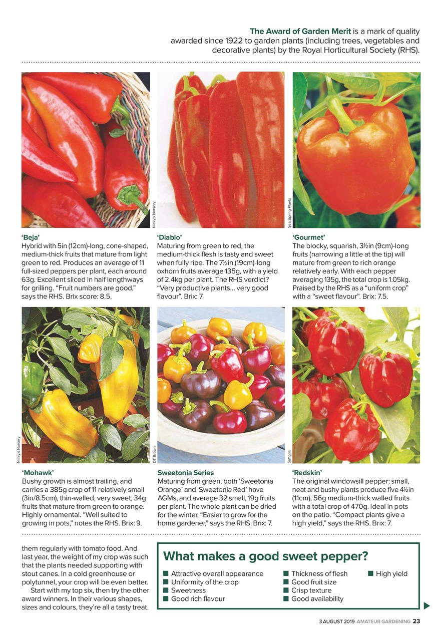 Amateur Gardening Preview Pages