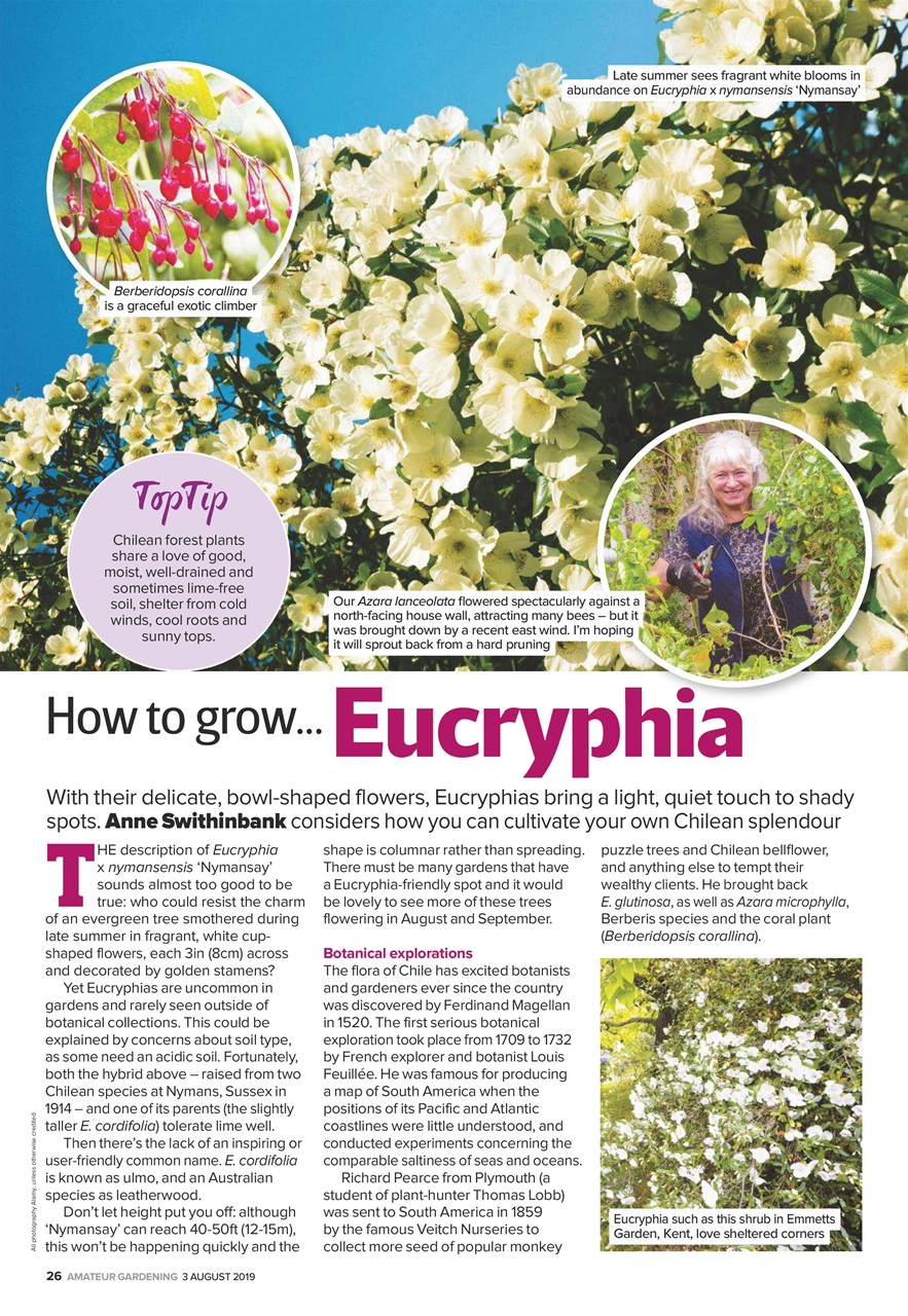 Amateur Gardening Preview Pages
