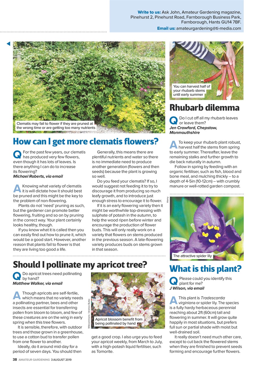 Amateur Gardening Preview Pages