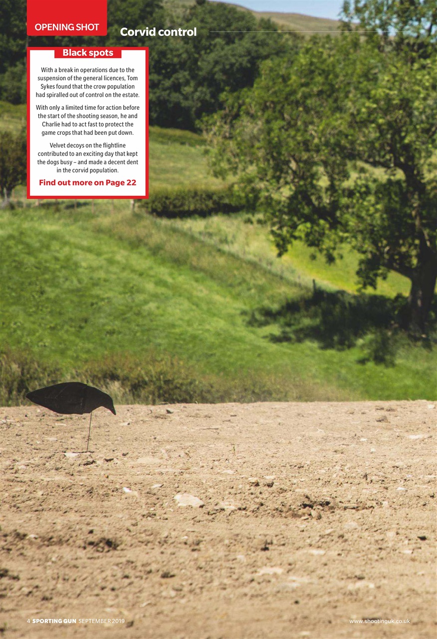 Sporting Gun Preview Pages