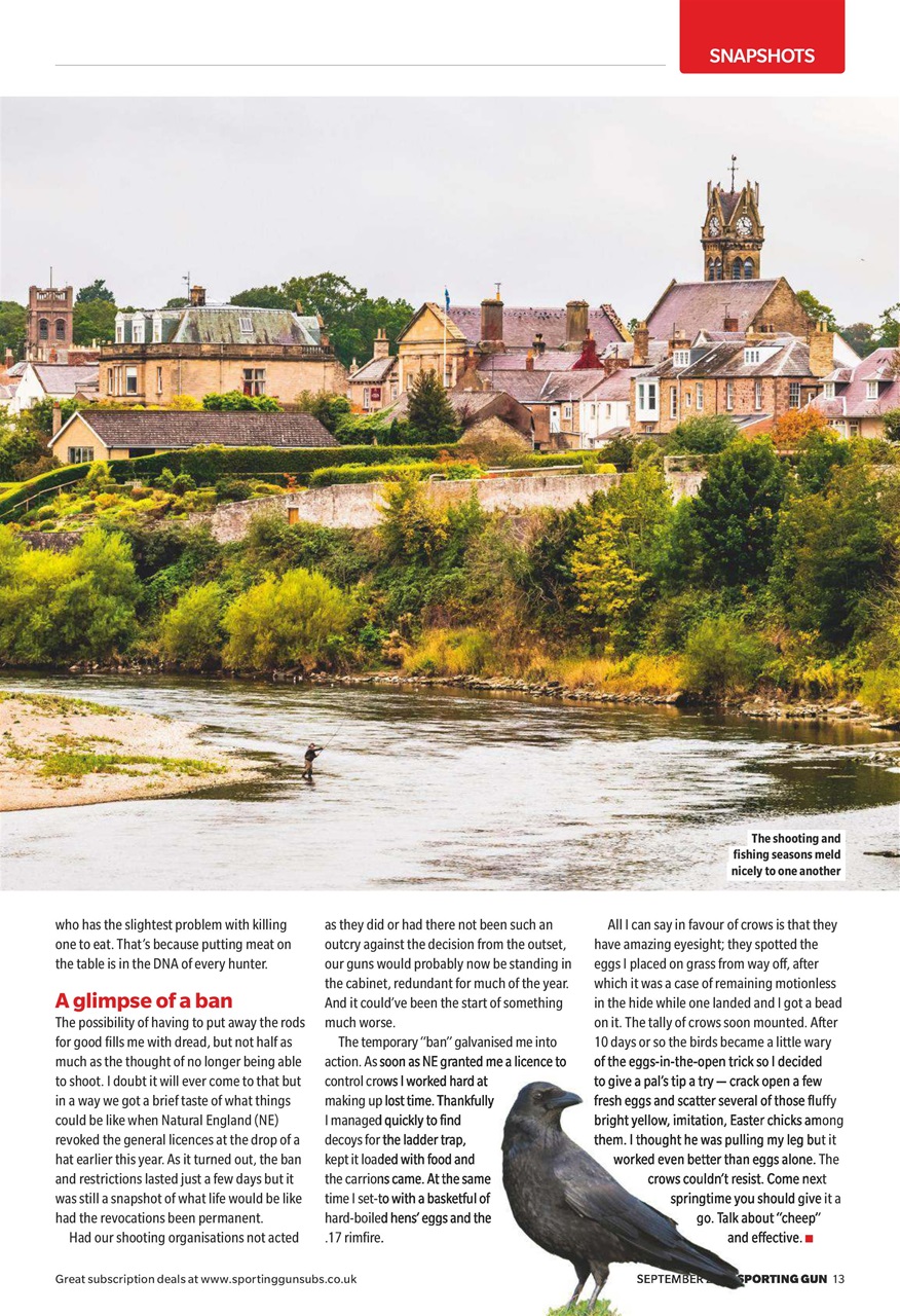 Sporting Gun Preview Pages