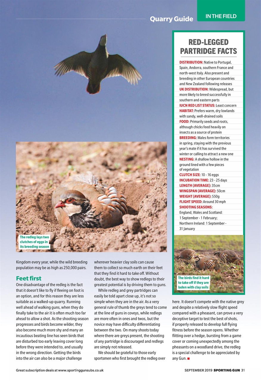 Sporting Gun Preview Pages