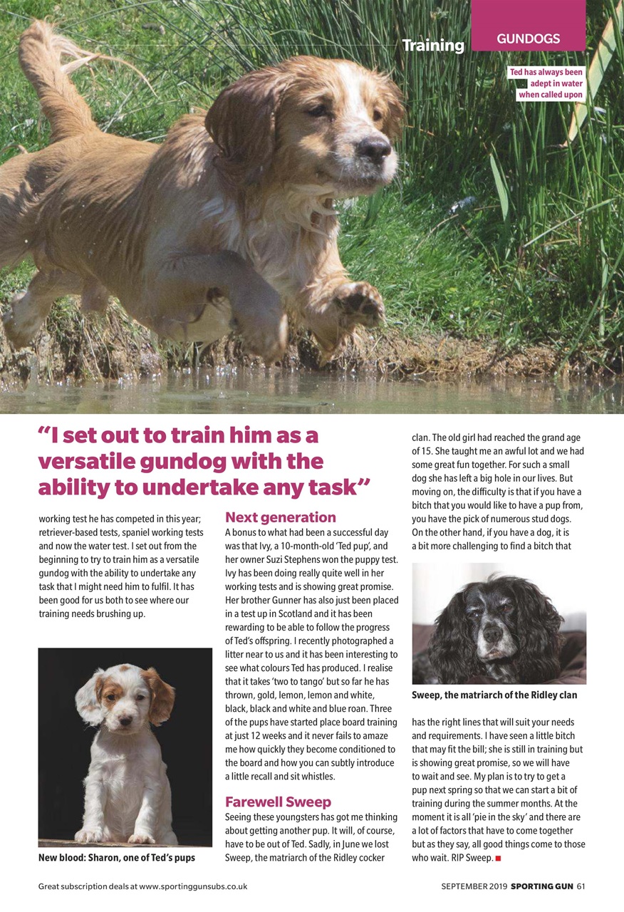 Sporting Gun Preview Pages