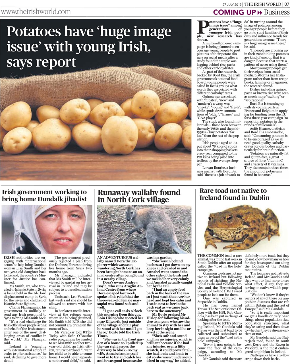 Irish World Preview Pages