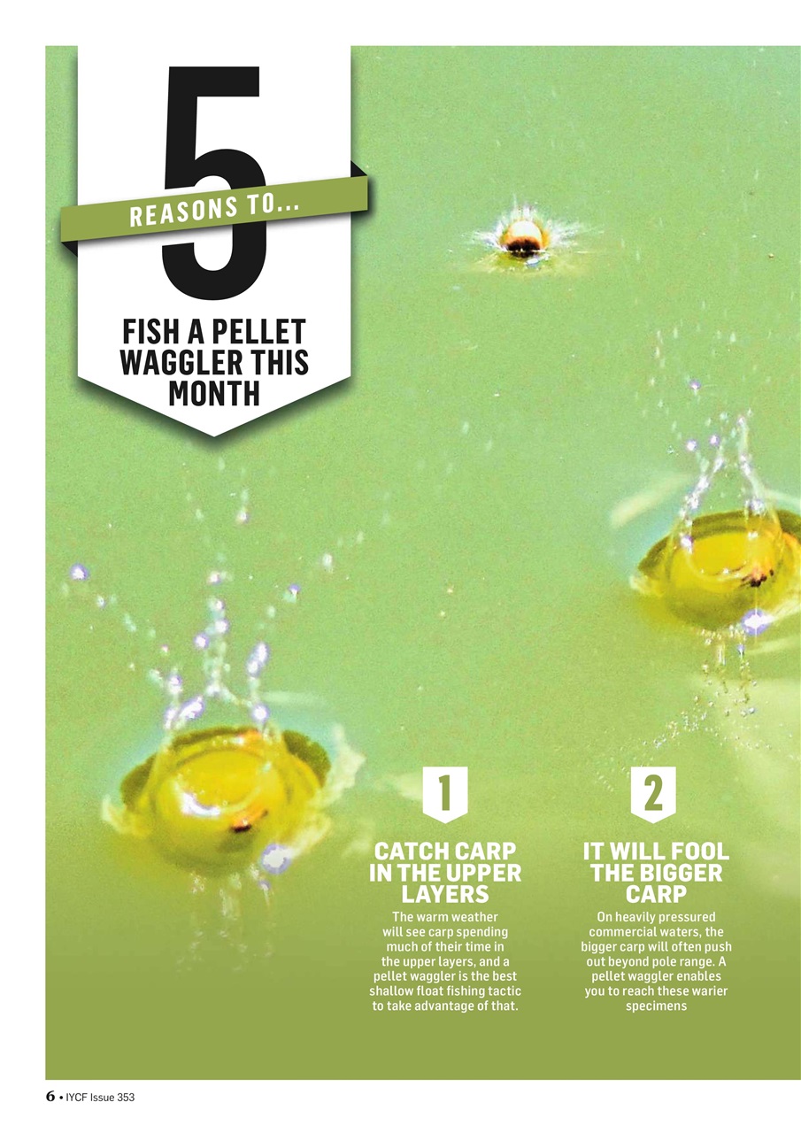 Improve Your Coarse Fishing Preview Pages