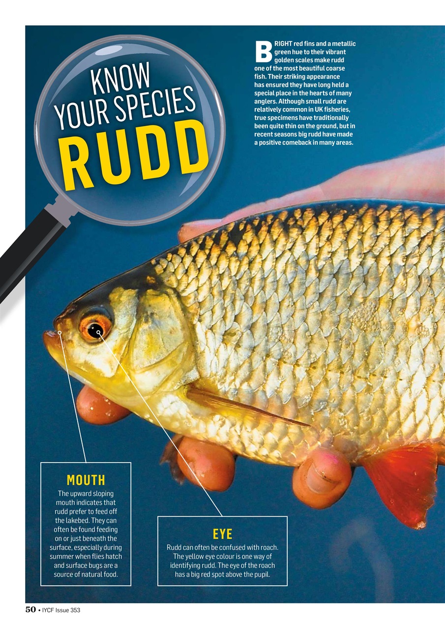 Improve Your Coarse Fishing Preview Pages