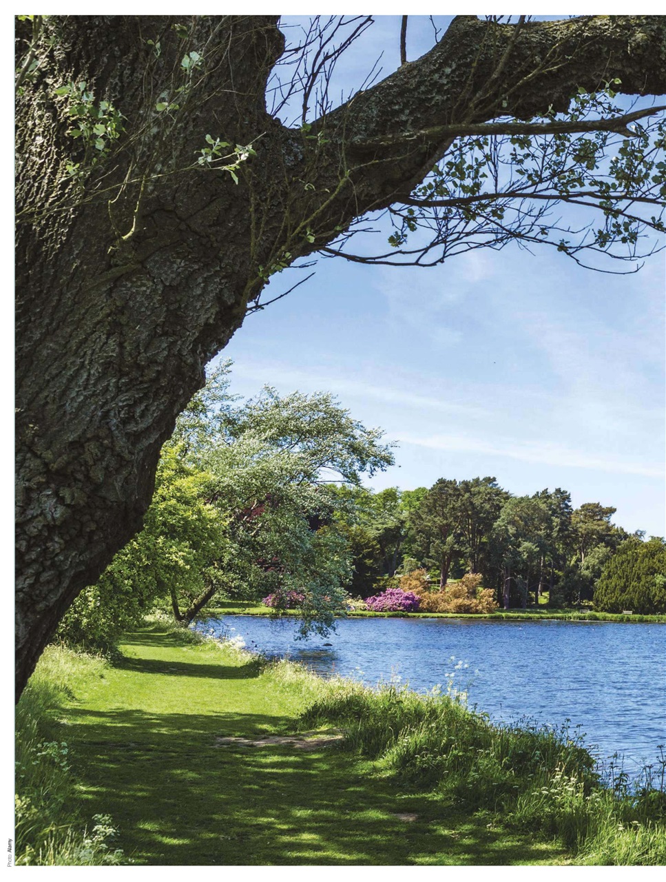 BBC Countryfile Magazine Preview Pages