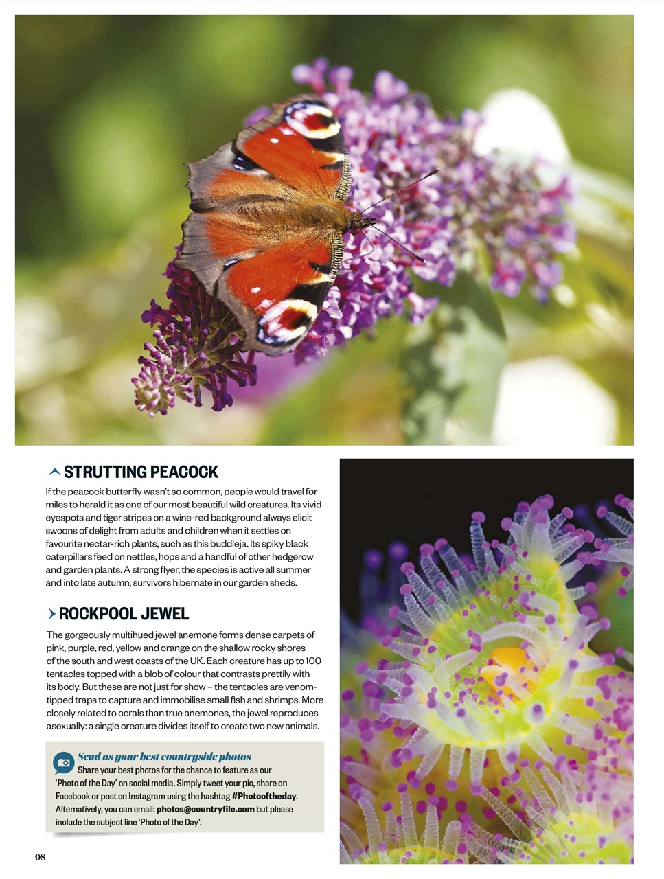 BBC Countryfile Magazine Preview Pages