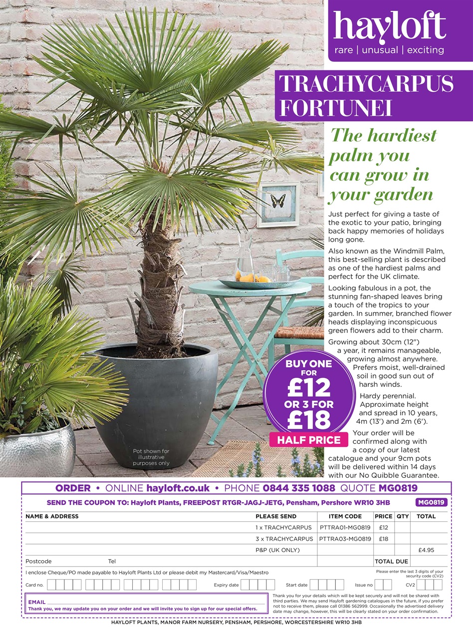 Modern Gardens Preview Pages