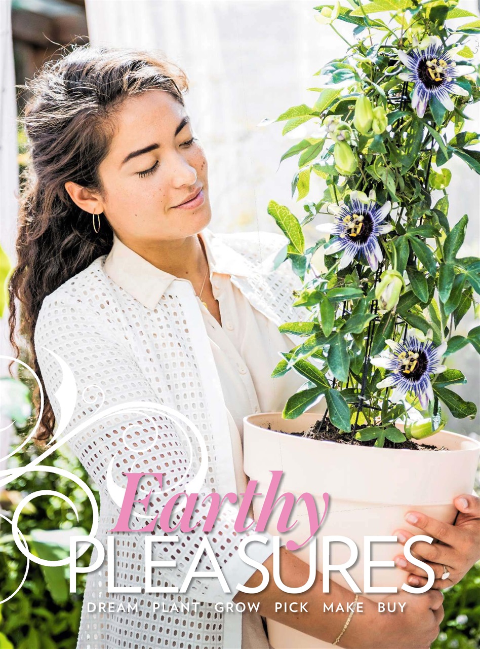 Modern Gardens Preview Pages