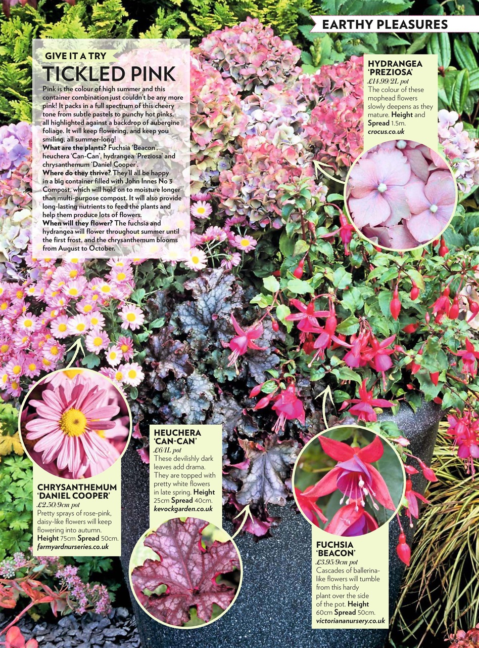 Modern Gardens Preview Pages