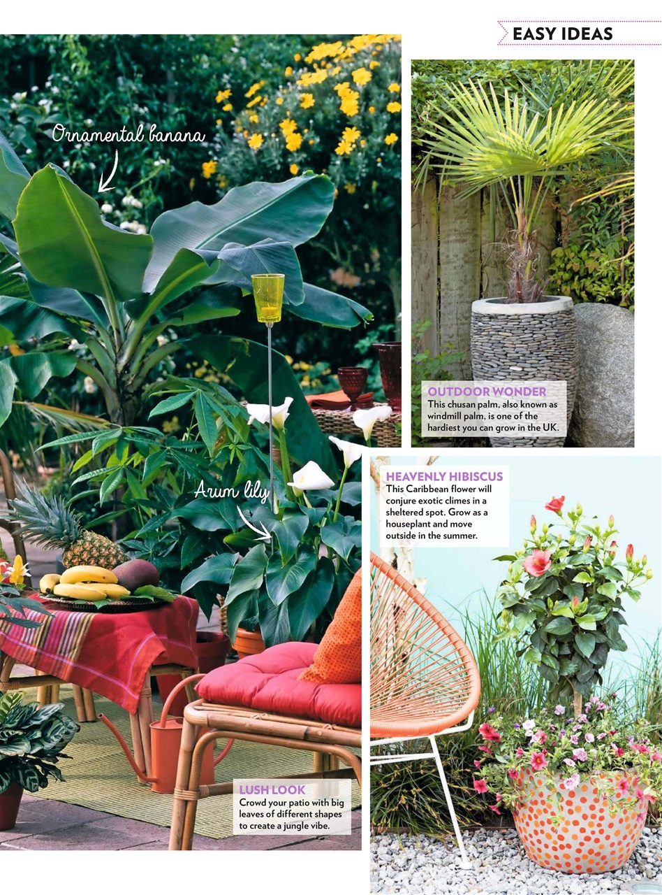 Modern Gardens Preview Pages