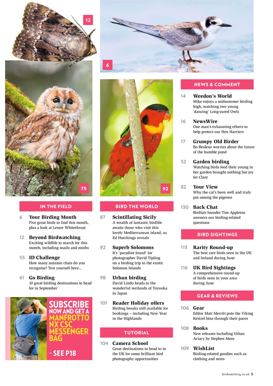 Bird Watching Preview Pages