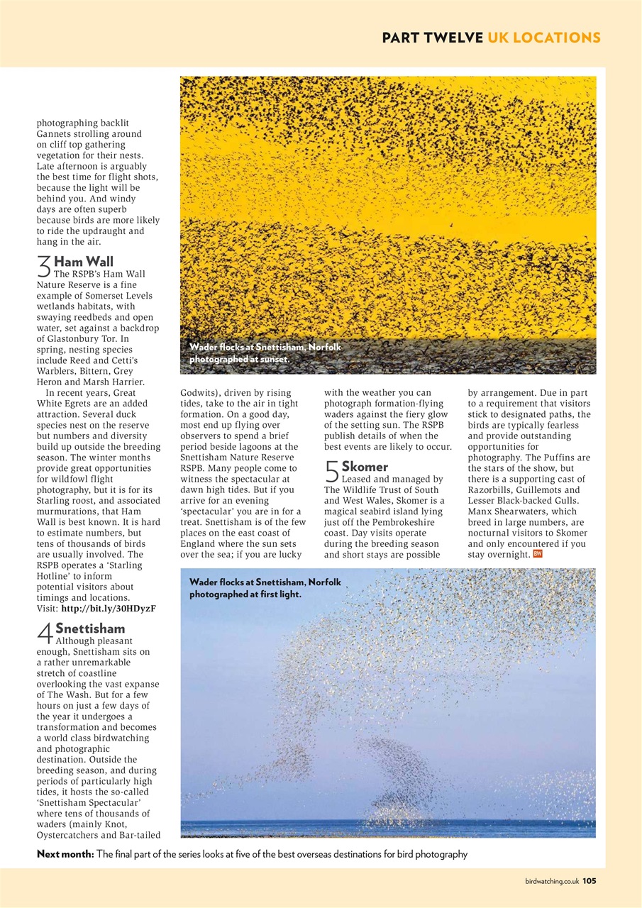 Bird Watching Preview Pages