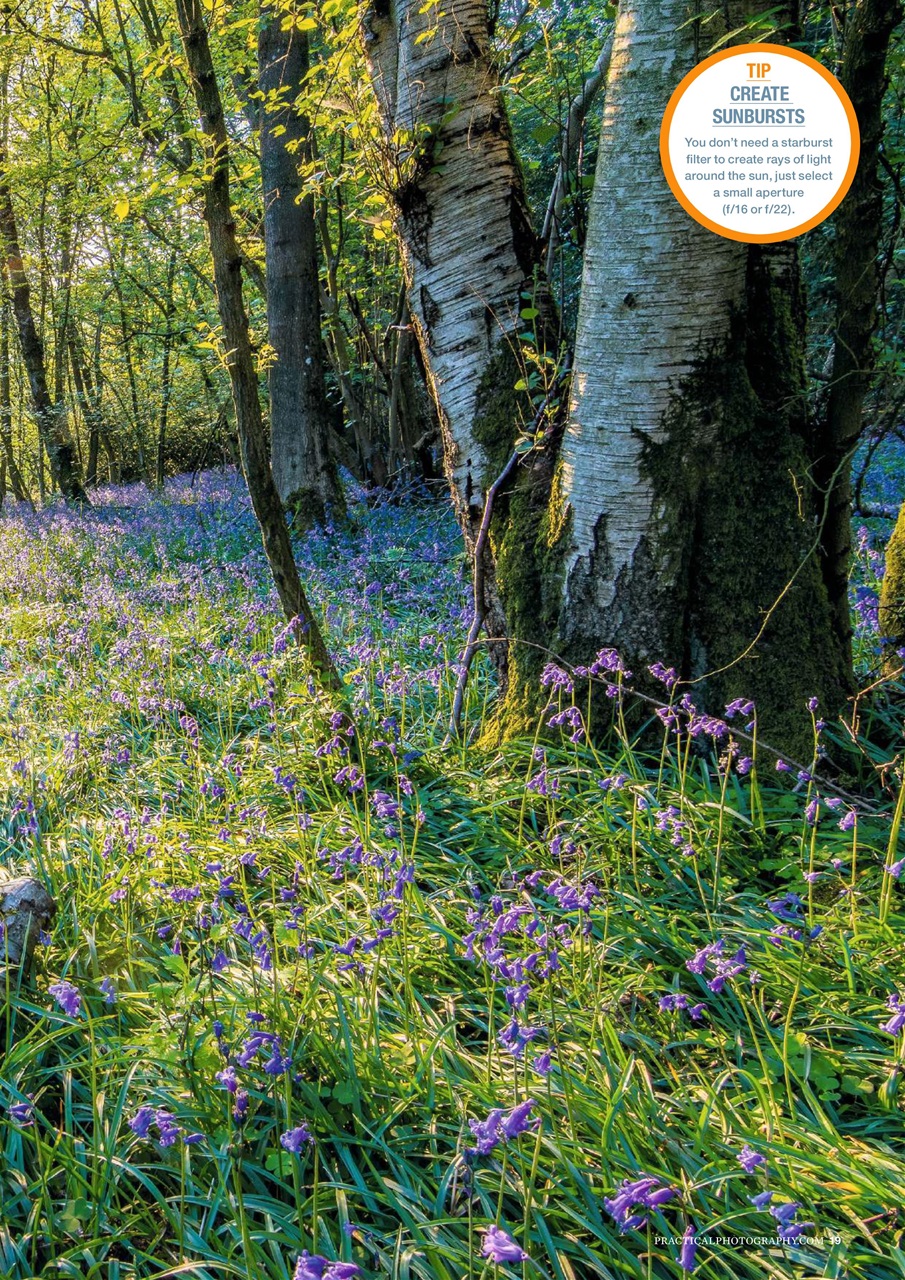 Practical Photography Preview Pages