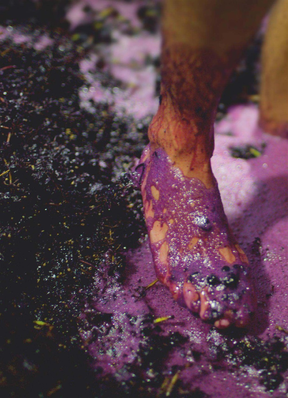 Decanter Preview Pages