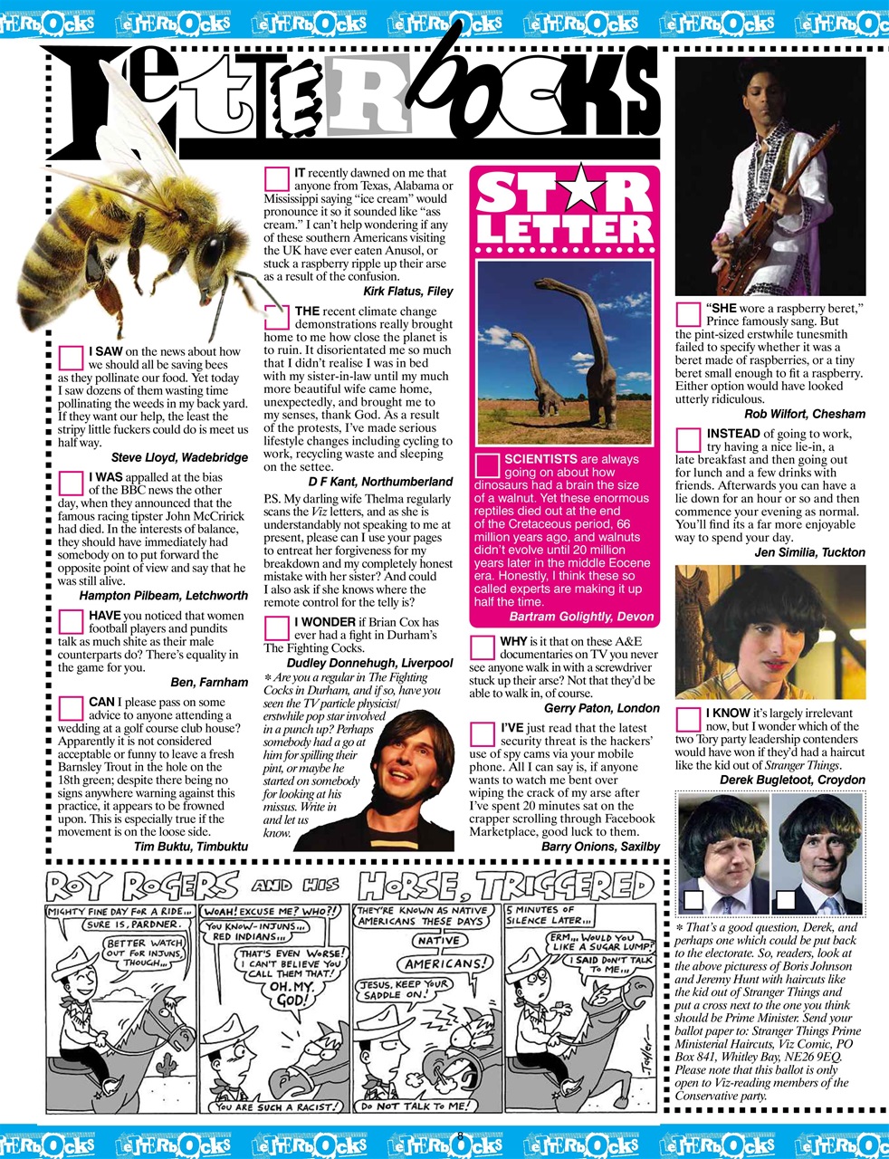 Viz Preview Pages