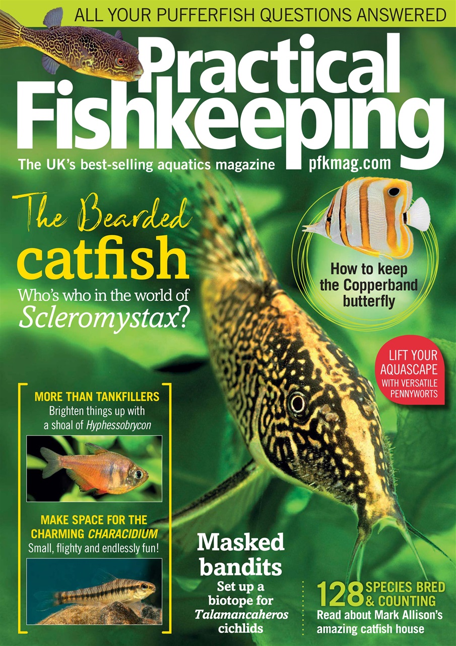 Practical Fishkeeping Preview Pages