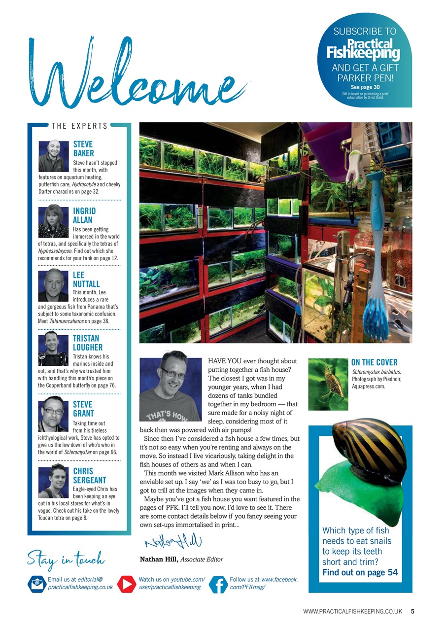 Practical Fishkeeping Preview Pages