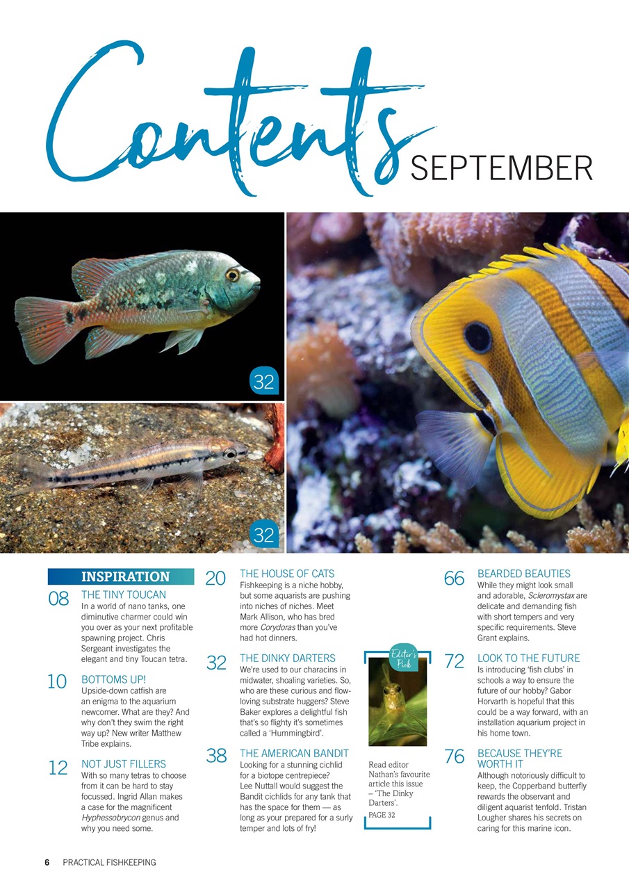 Practical Fishkeeping Preview Pages