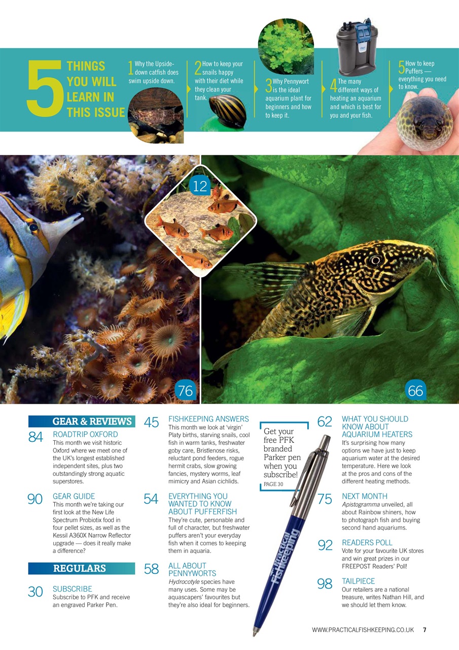 Practical Fishkeeping Preview Pages