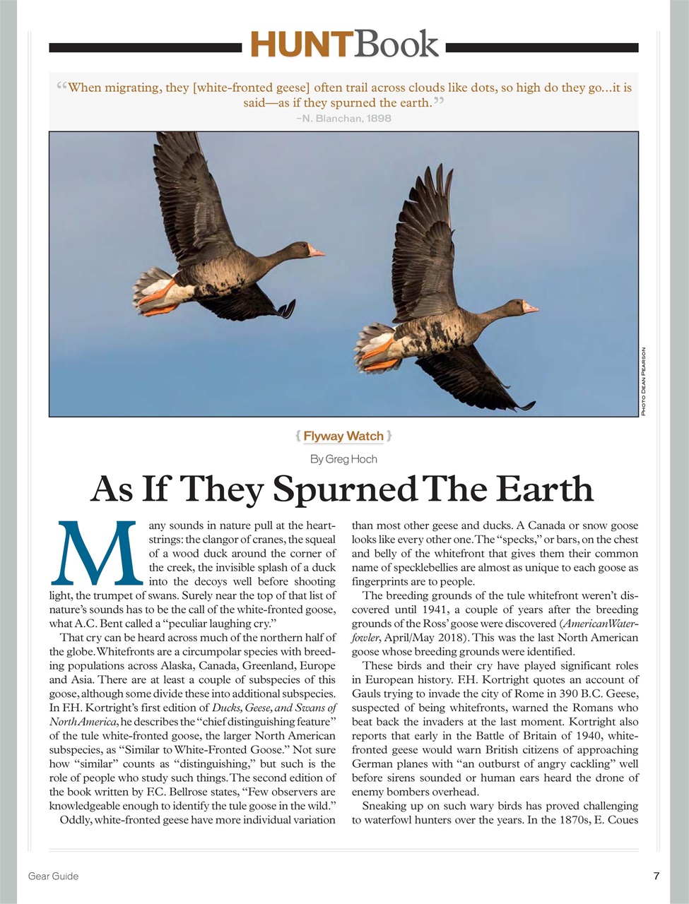 American Waterfowler Preview Pages