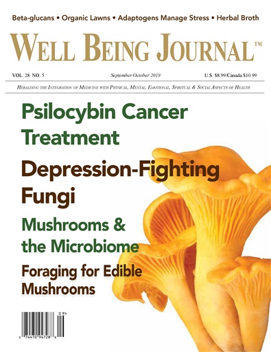 Well Being Journal issue 