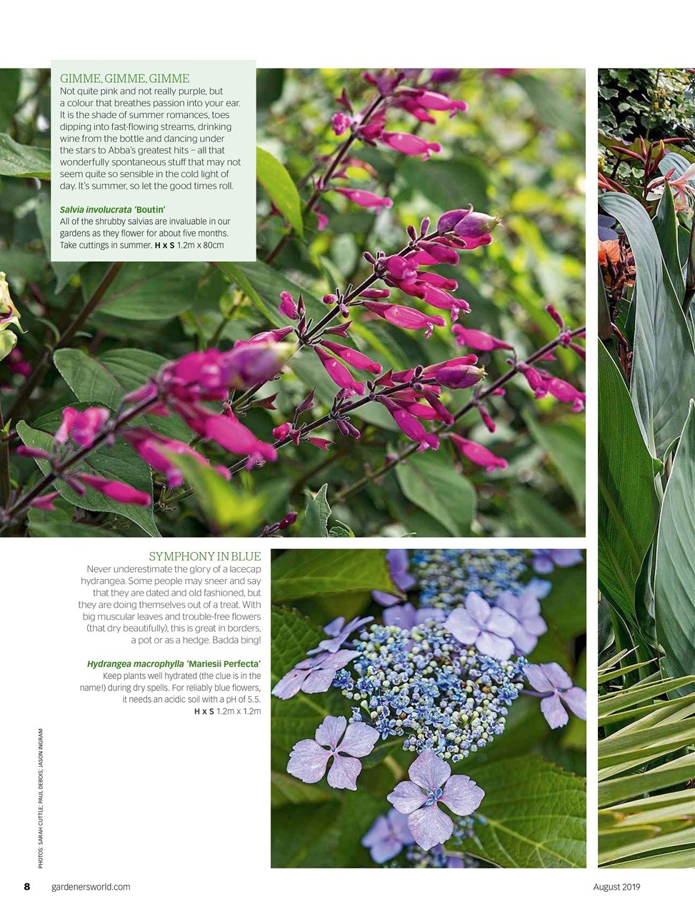 BBC Gardeners’ World Magazine Preview Pages