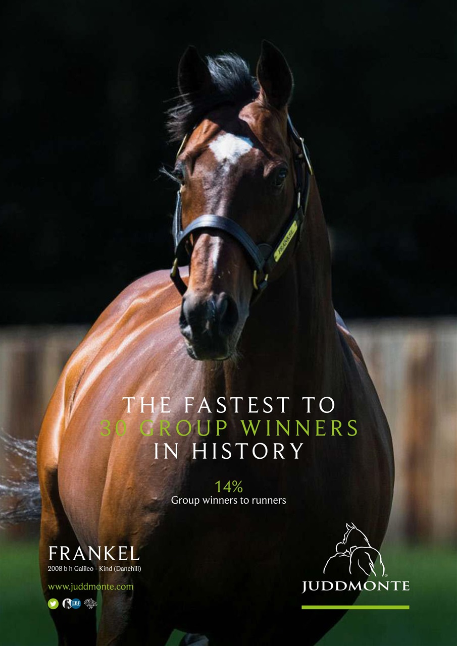 The Owner Breeder Preview Pages