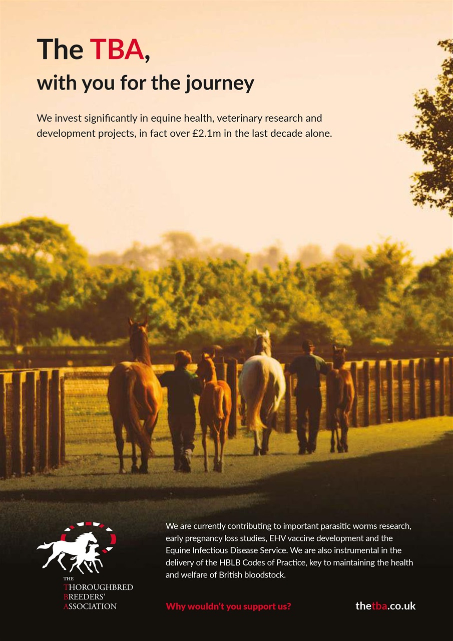 The Owner Breeder Preview Pages