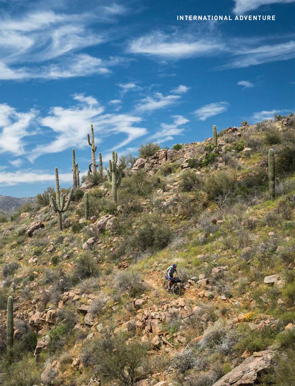 Singletrack Preview Pages