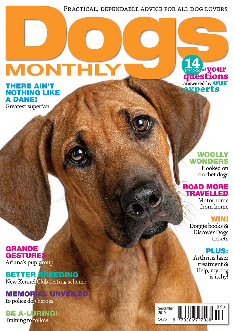 Dogs Monthly Preview Pages
