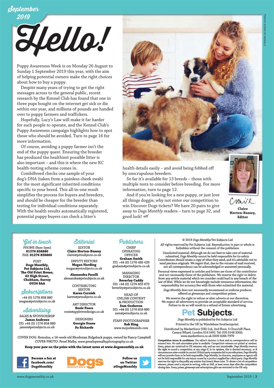 Dogs Monthly Preview Pages