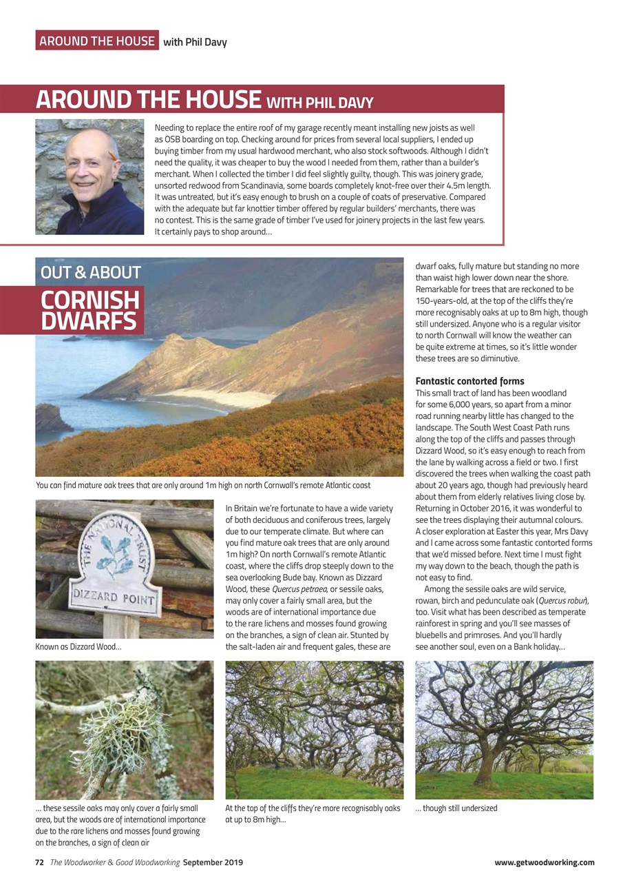 The Woodworker Magazine Preview Pages
