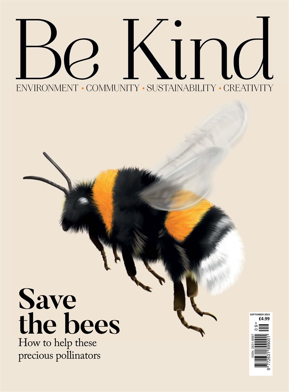 Be Kind Preview Pages