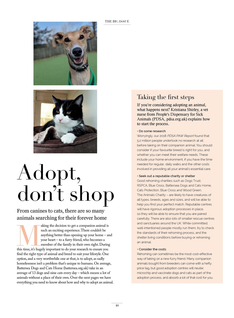 Be Kind Preview Pages