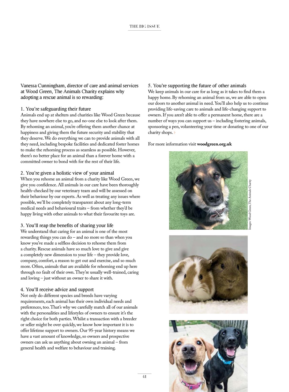 Be Kind Preview Pages