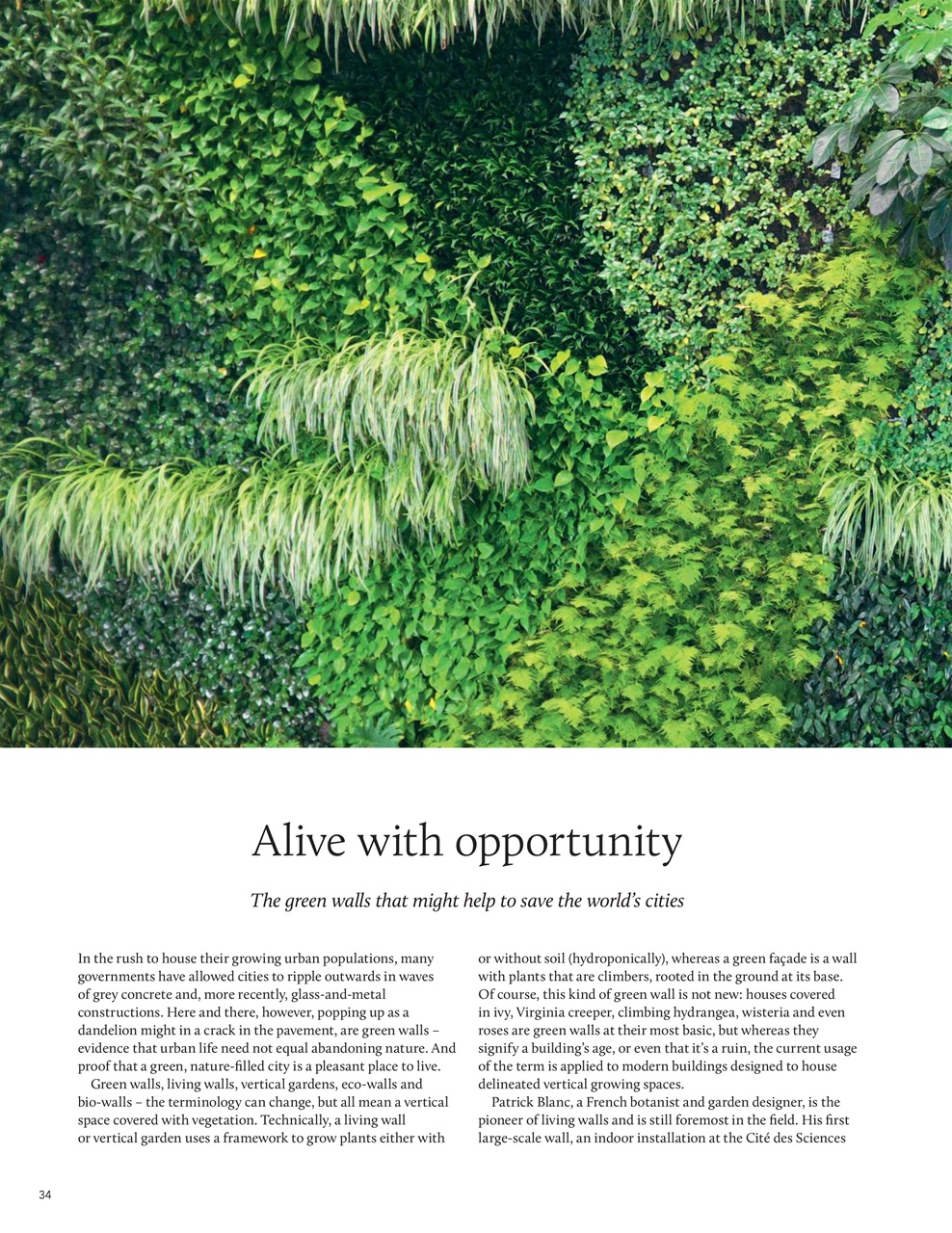 Breathe Preview Pages