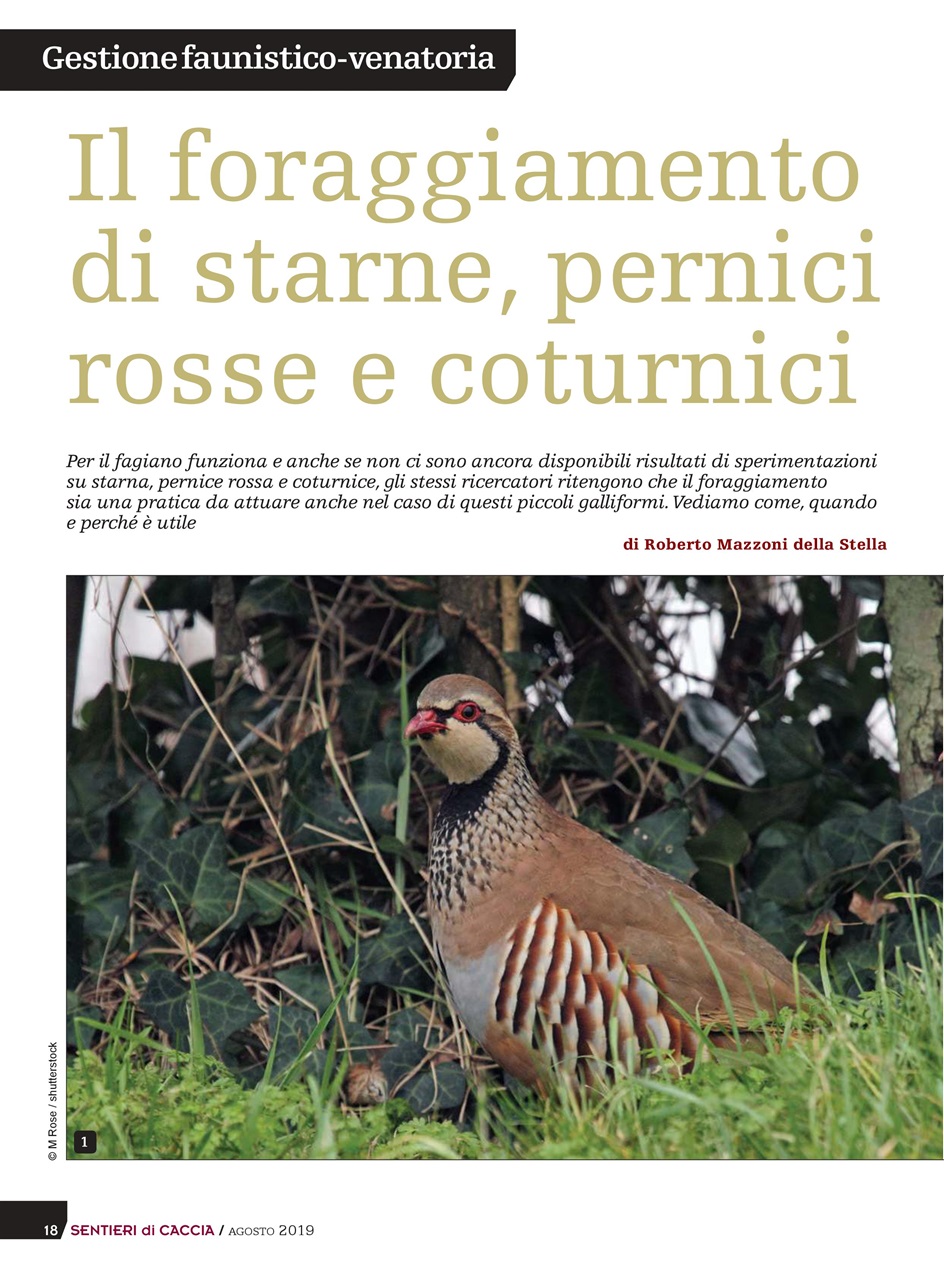 SENTIERI DI CACCIA Preview Pages