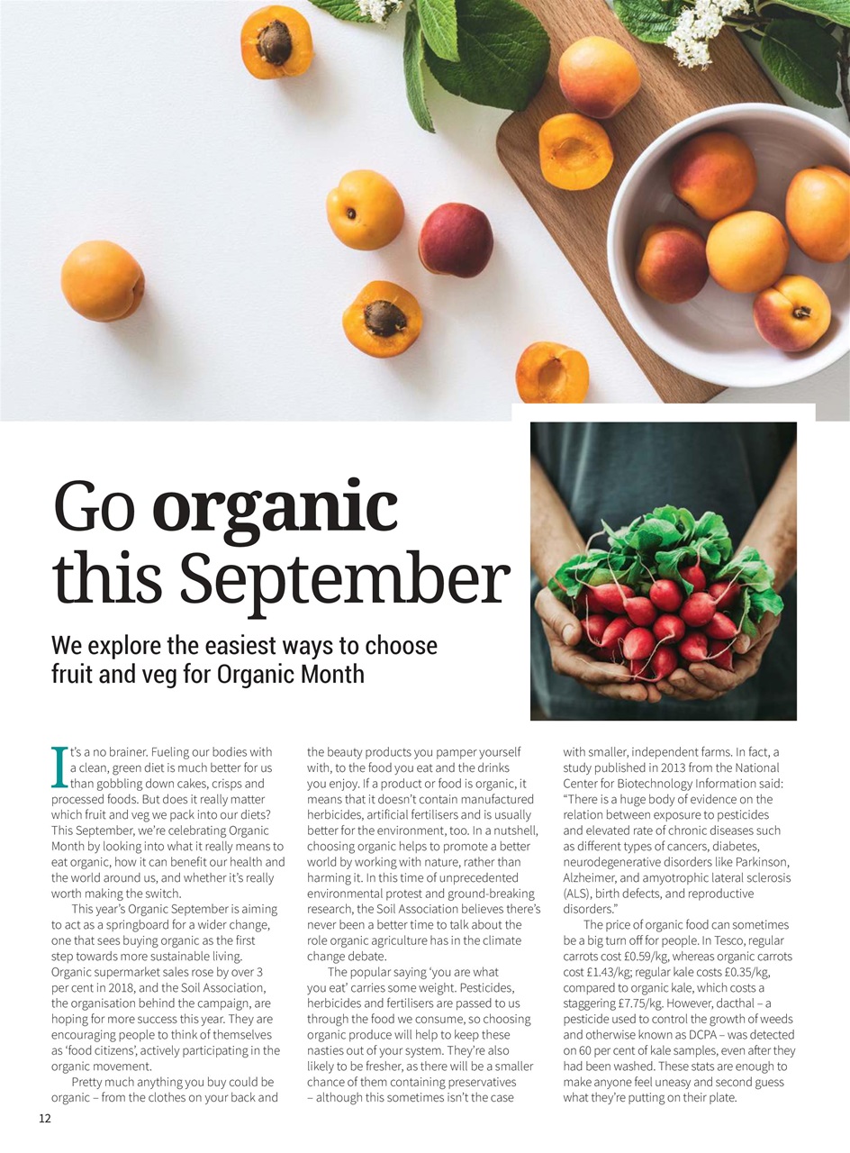 PlantBased Preview Pages