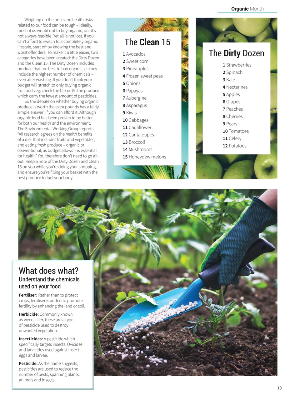 PlantBased Preview Pages